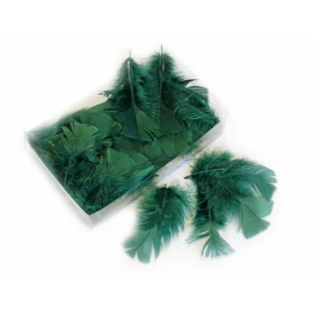 DECORATIEVE PLUIMEN  GROEN