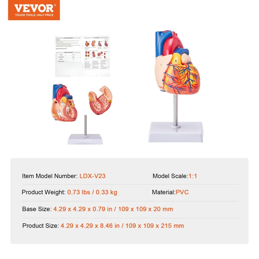 VEVOR LEVENSGROOT MENSELIJK HARTMODEL, 2DELIG 1:1 ANATOMISCH HARTMODEL, MENSELIJK HARTMODEL MET HANDELSMERK VOOR ANATOMIE 109 X